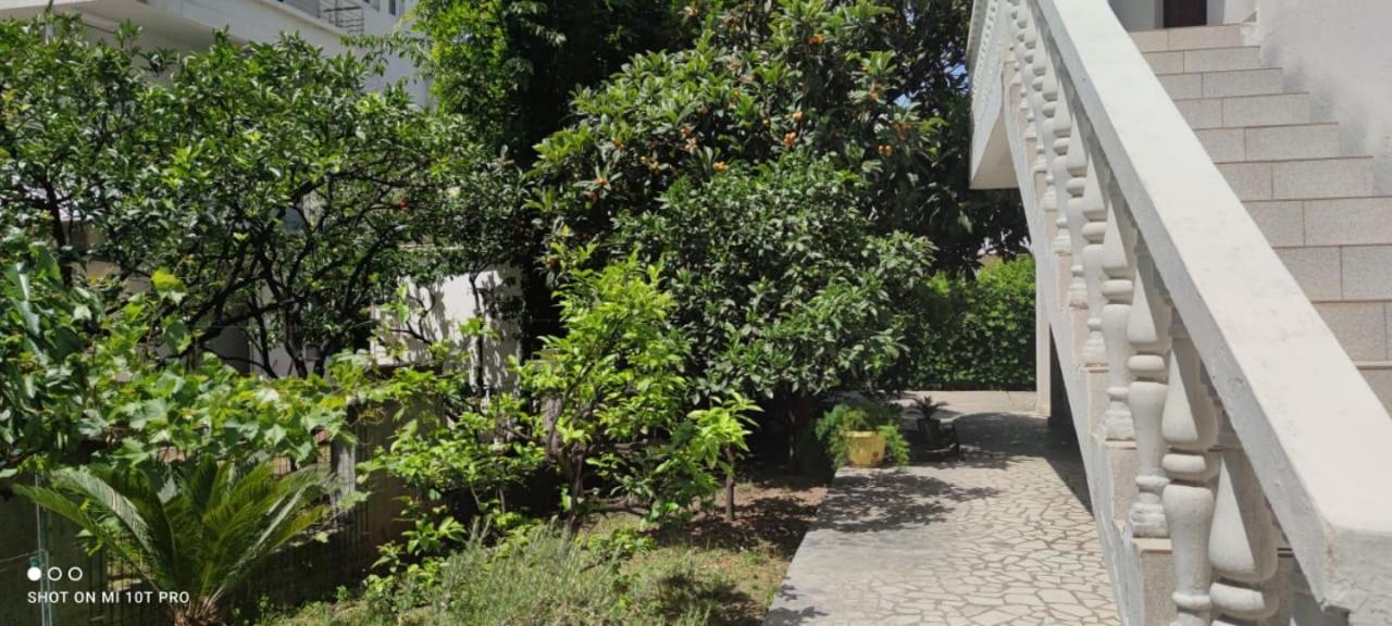 House Irena Hotel Budva Kültér fotó